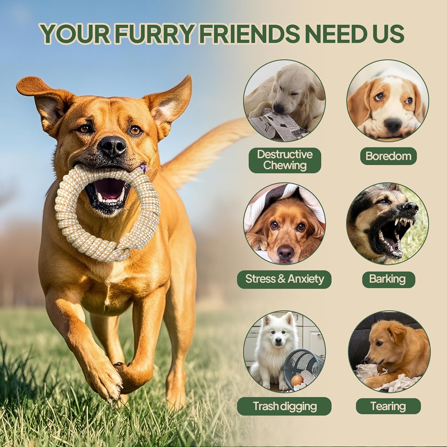 Juguete de cuerda para perros, paquete de 4 juguetes de cuerda para...