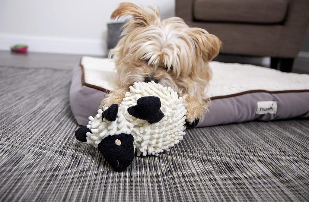 goDog Fuzzy Wuzzy Lamb - Juguete de peluche chirriante para perro,...
