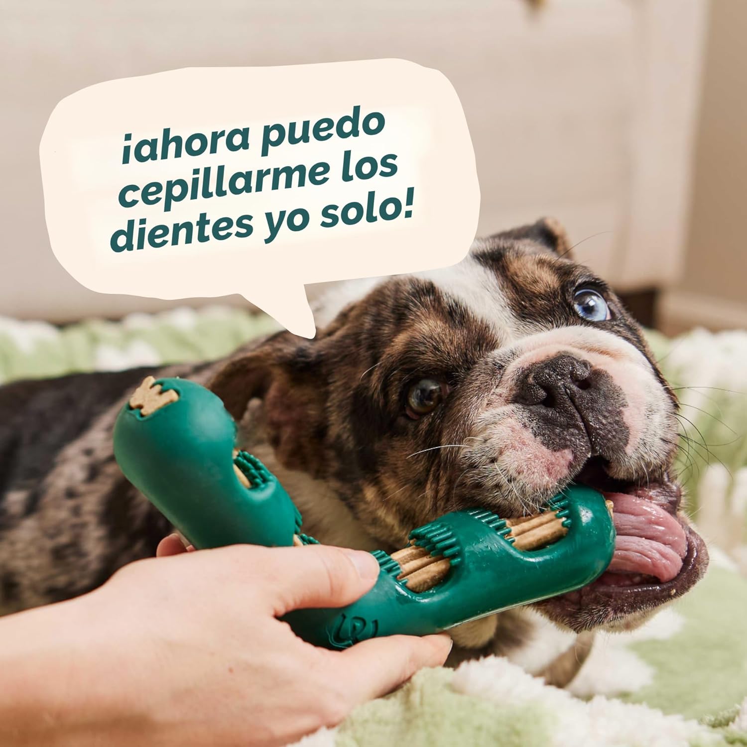 WOOF The Bite n' Brush - Cepillo de dientes para perros - Placa...
