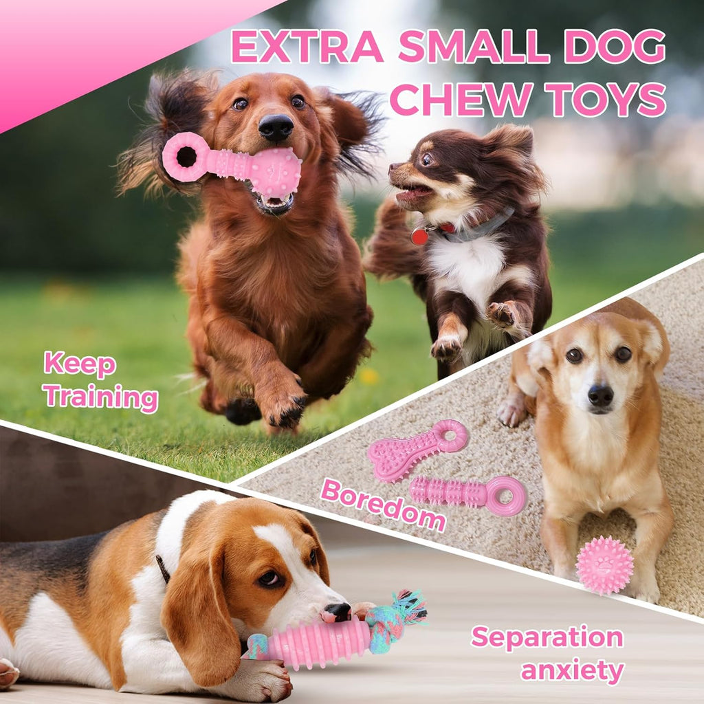 CGBD Juguetes para cachorros, paquete de 9 juguetes masticables par...