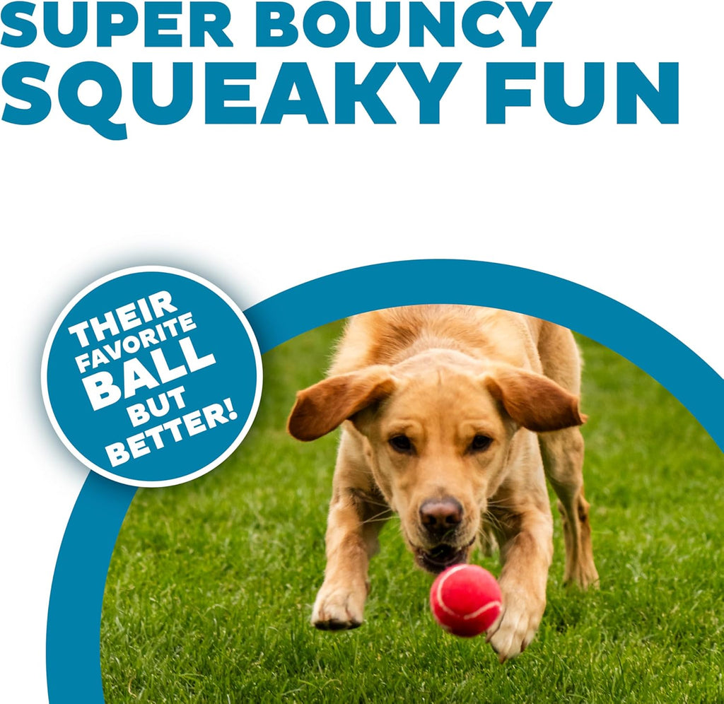 Outward Hound Squeaker Ballz - Juego de 4 pelotas de tenis para per...