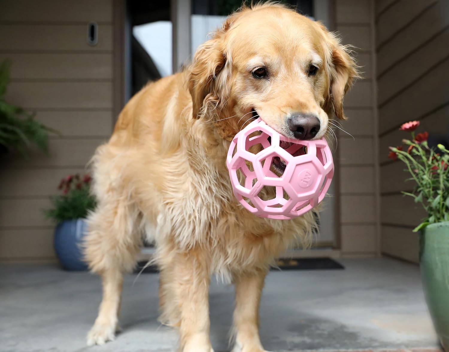JW Pet HOL-ee Roller™, bola de rompecabezas de juguete para perros,...