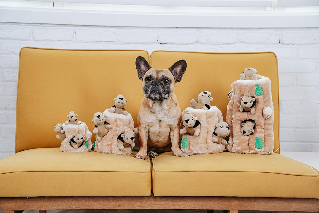 Outward Hound Hide A Squirrel - Juguete de rompecabezas de peluche...