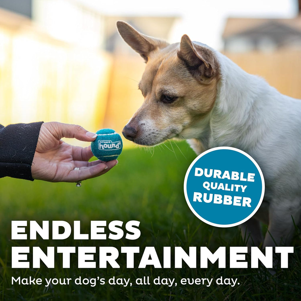 Outward Hound Squeaker Ballz - Juego de 4 pelotas de tenis para per...
