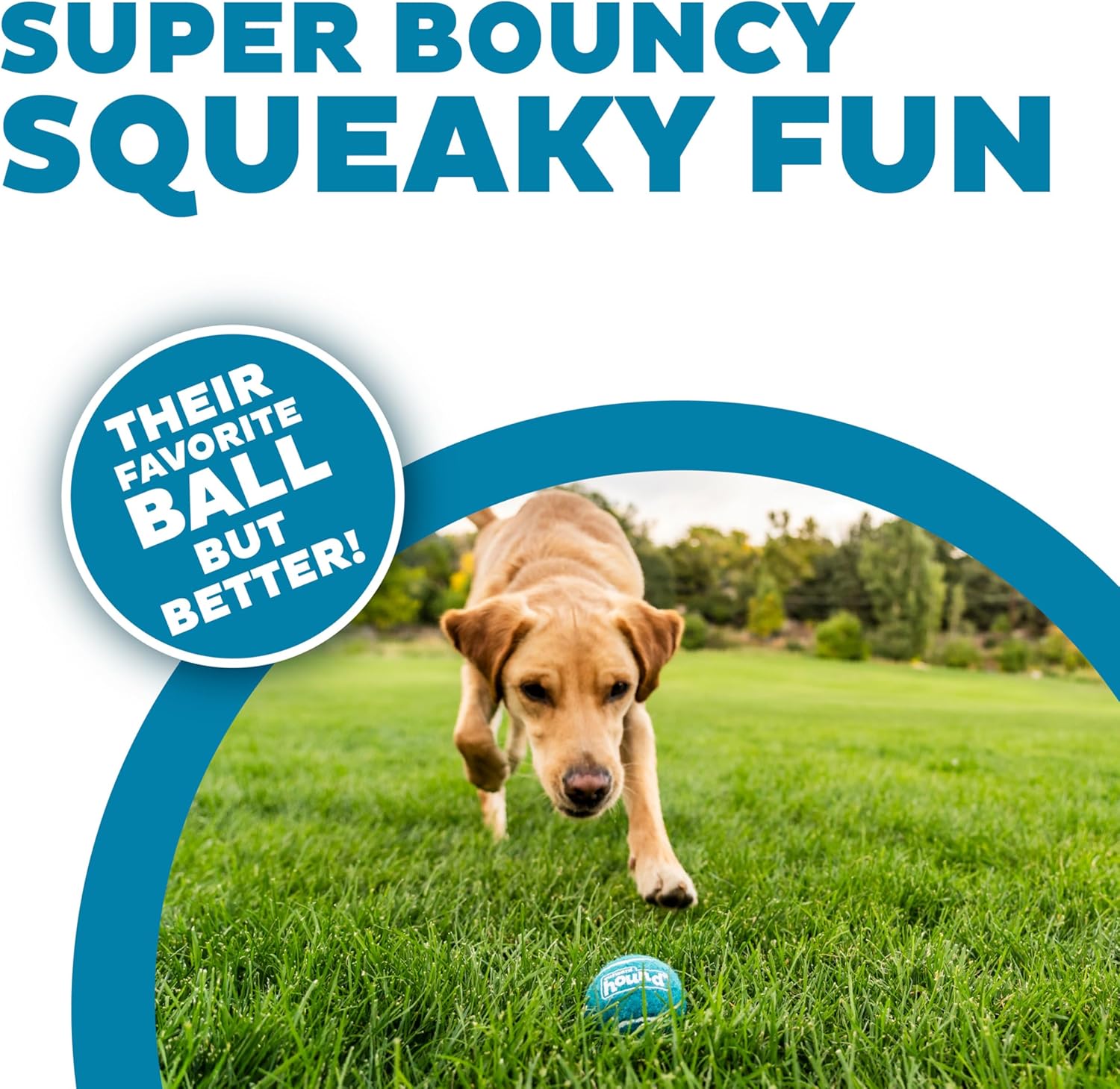 Outward Hound Squeaker Ballz - Pelotas de tenis chirriantes para pe...