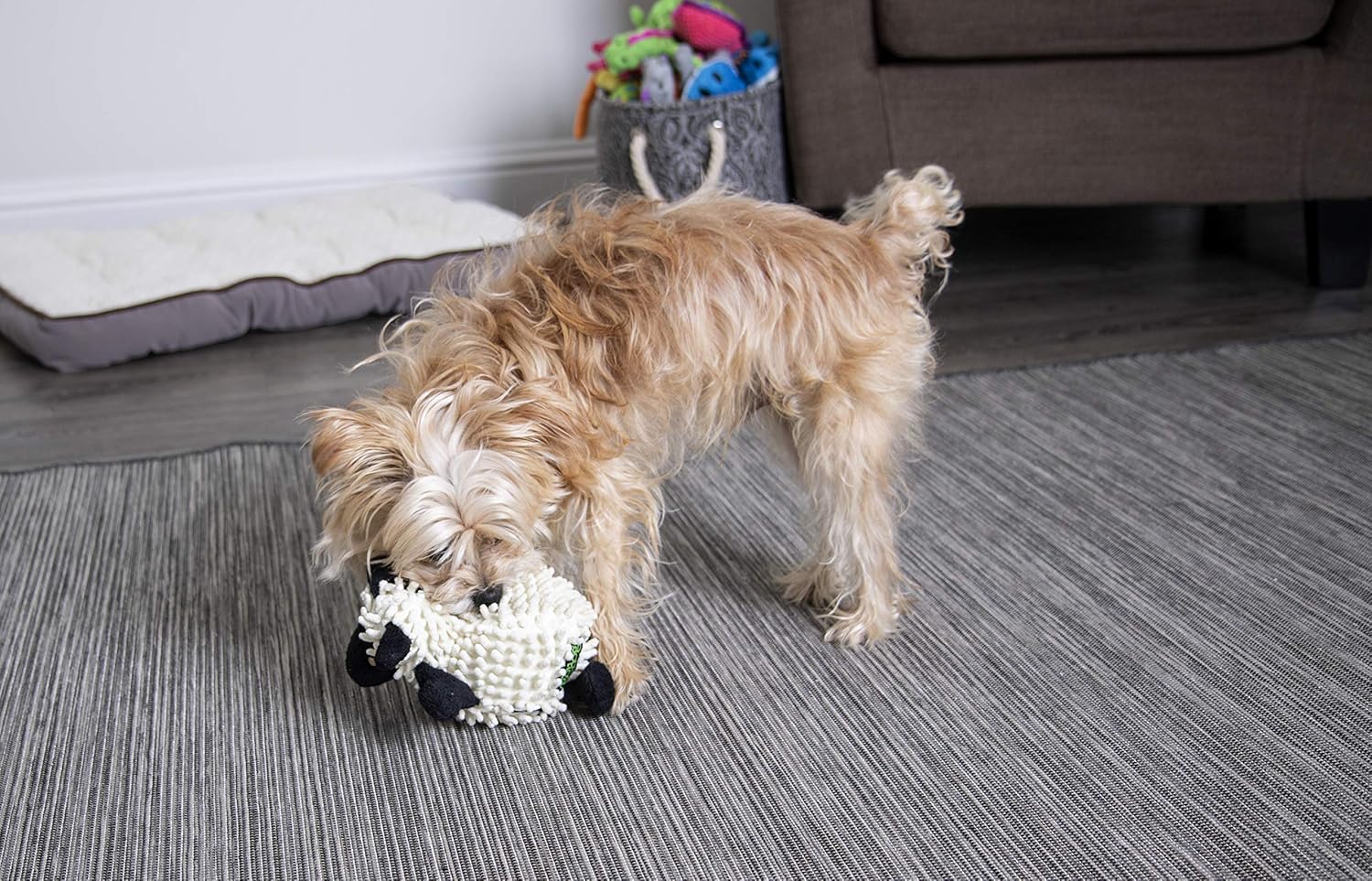 goDog Fuzzy Wuzzy Lamb - Juguete de peluche chirriante para perro,...