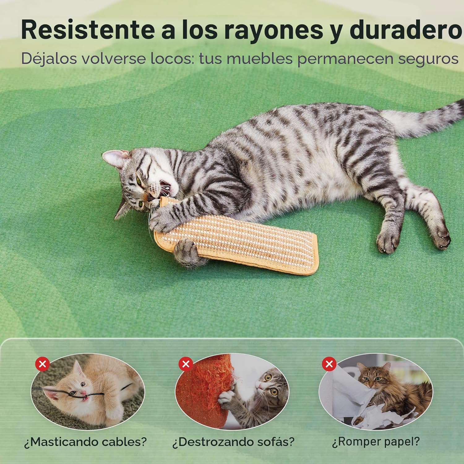 Potaroma Paquete de 2 juguetes para gatos con hierba gatera orgánic...