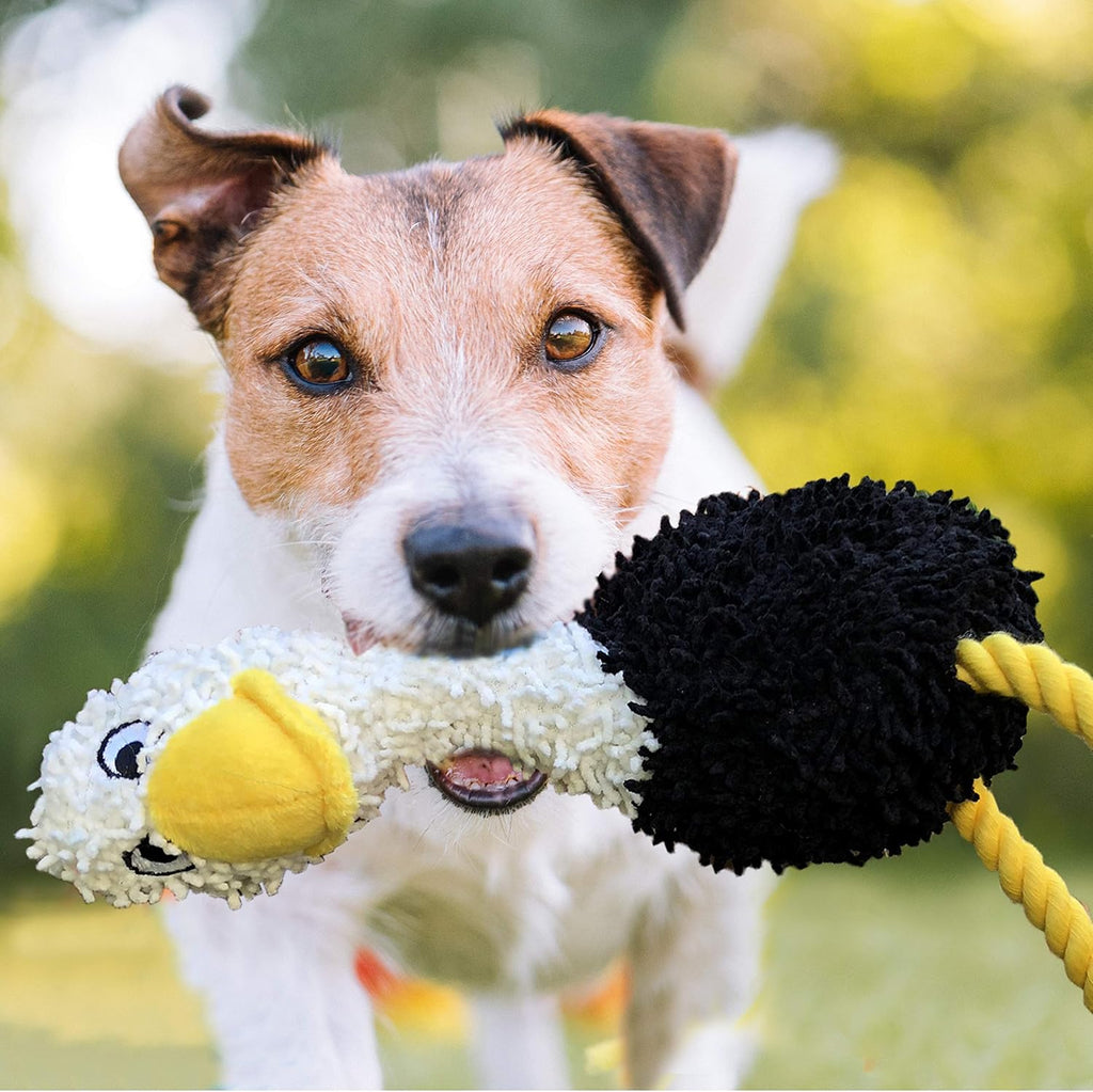 Rocket &amp; Rex, juguetes masticables para perros y cachorros. Lim...
