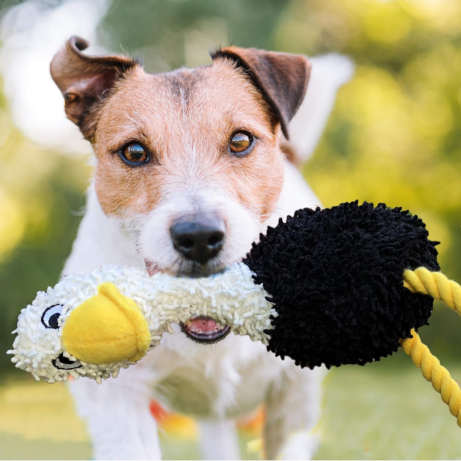 Rocket &amp; Rex, juguetes masticables para perros y cachorros. Lim...