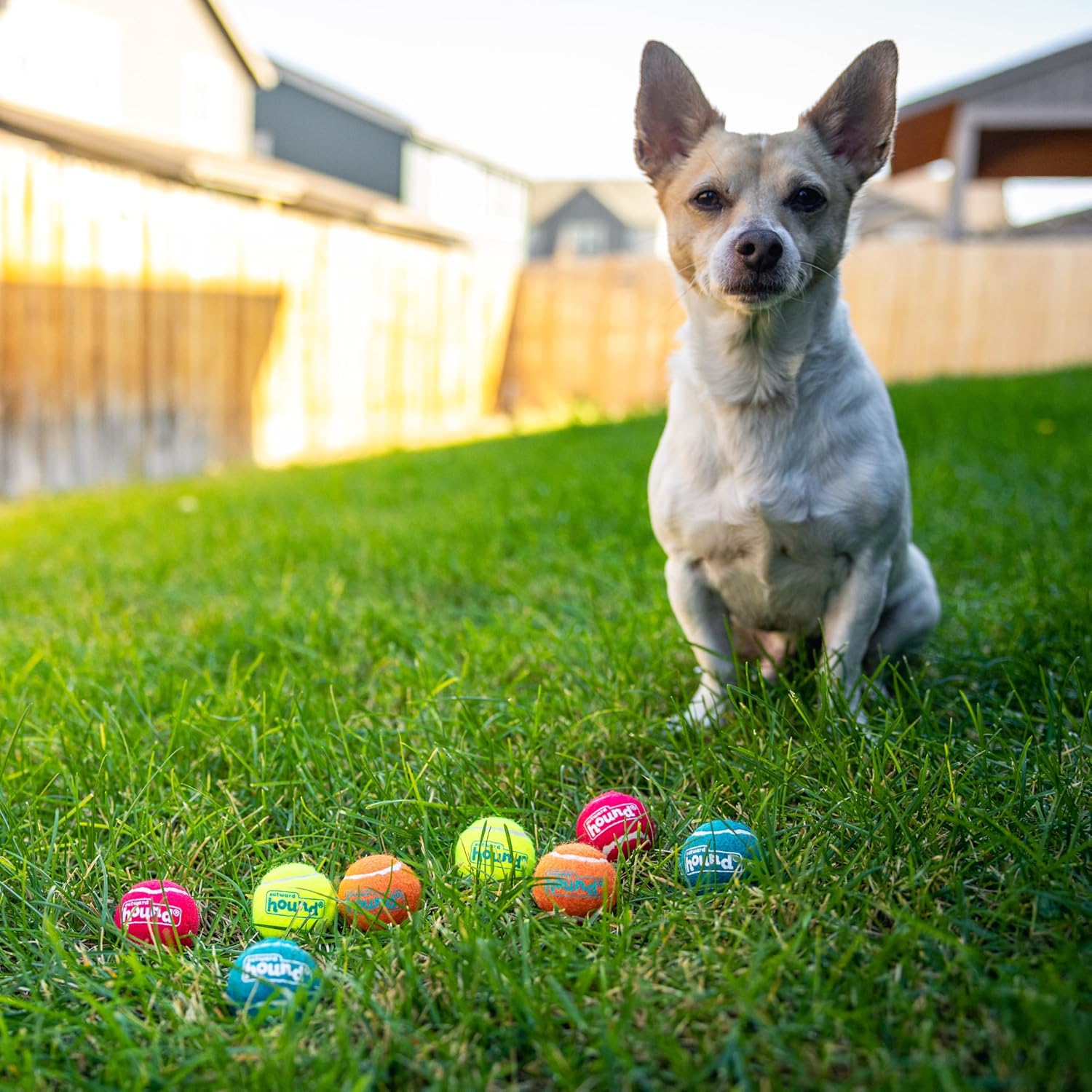Outward Hound Squeaker Ballz - Pelotas de tenis chirriantes para pe...