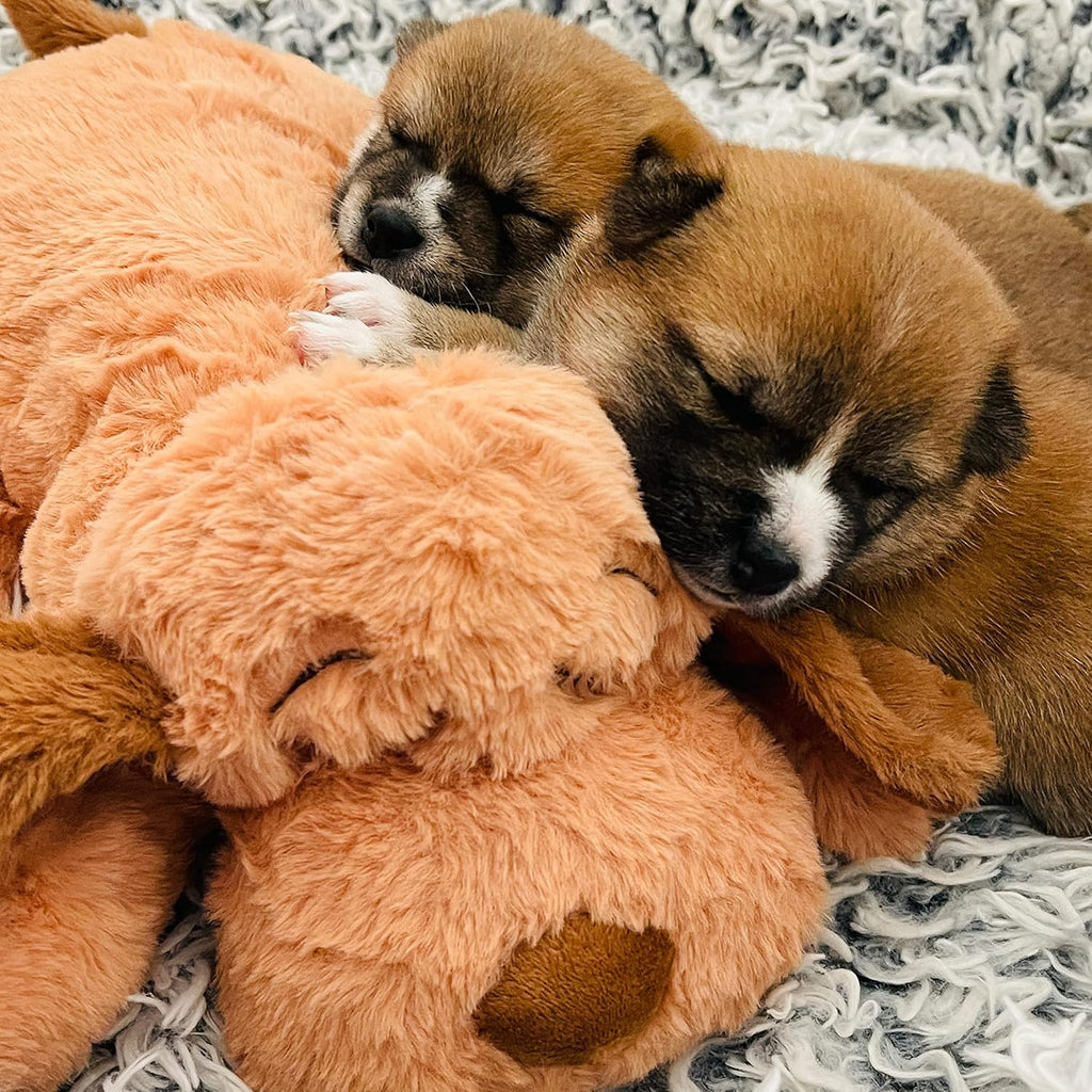 Snuggle Puppy Juguete original para cachorros con pulso y paquete d...