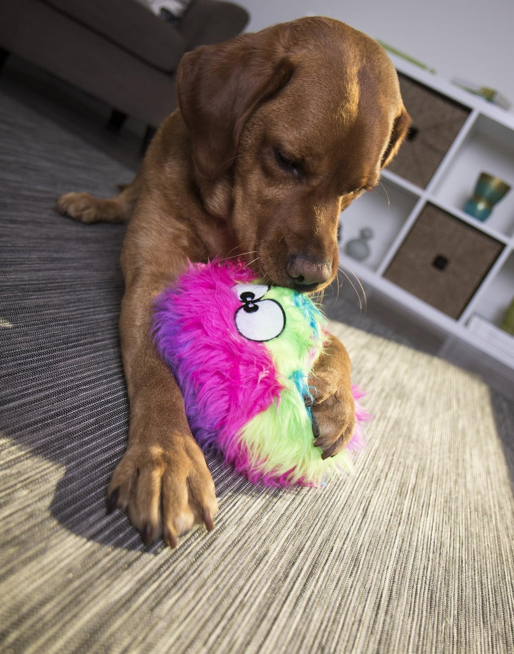 goDog Furballz - Bola de peluche chirriante para perro, tecnología...