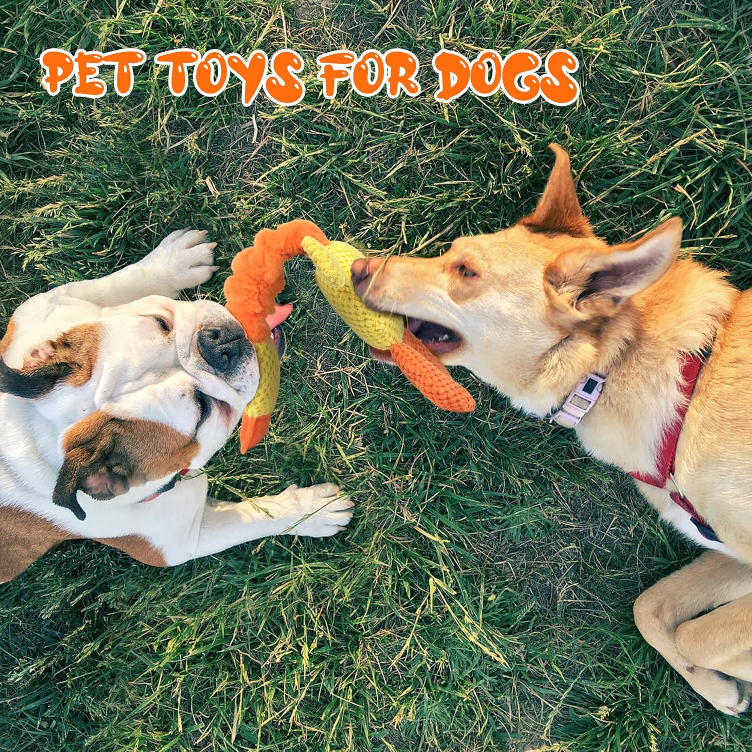 TwoEar Juguete de pato para perros con papel arrugado, juguete inte...