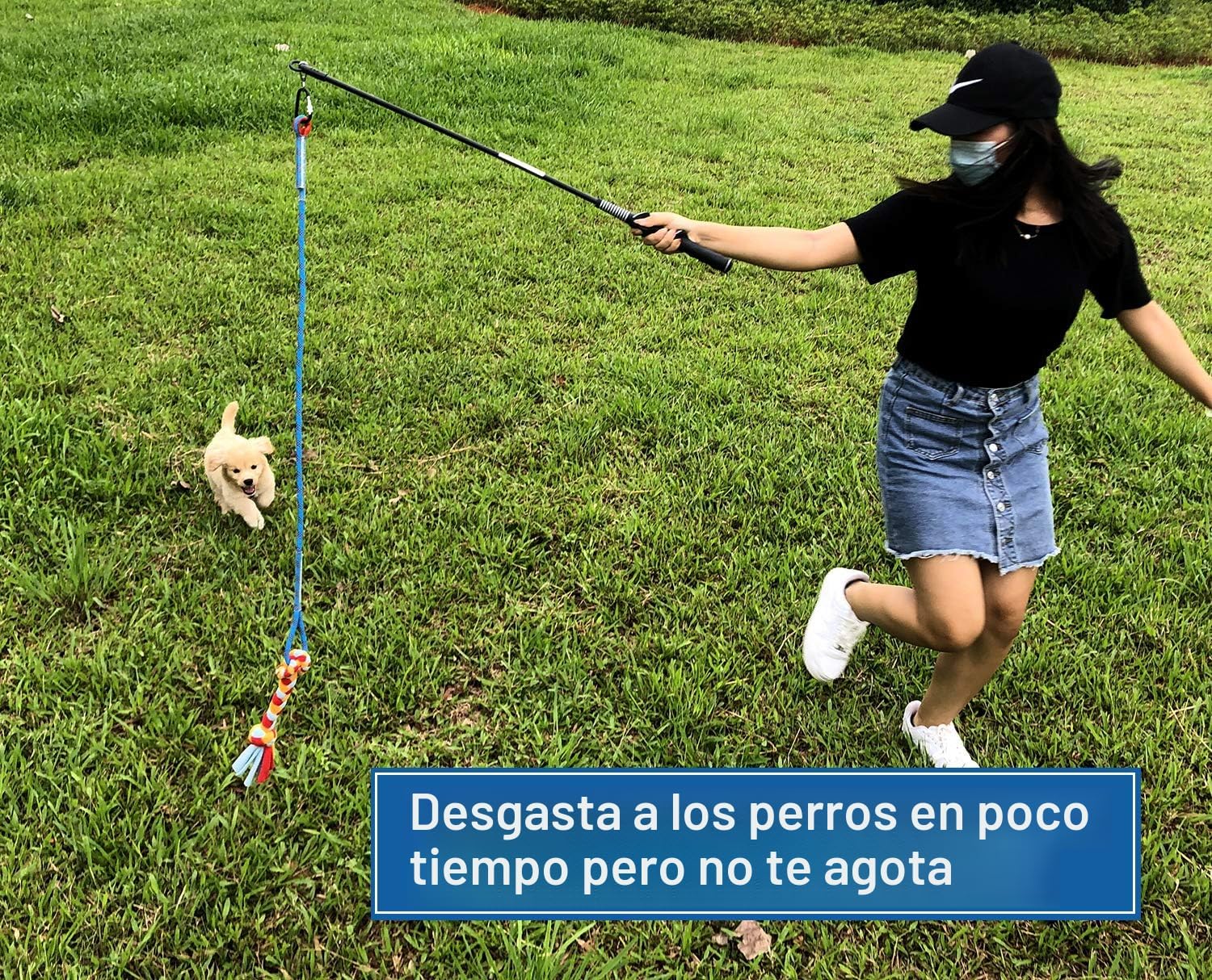 Juguete interactivo de poste de coqueteo para perros, persecución y...