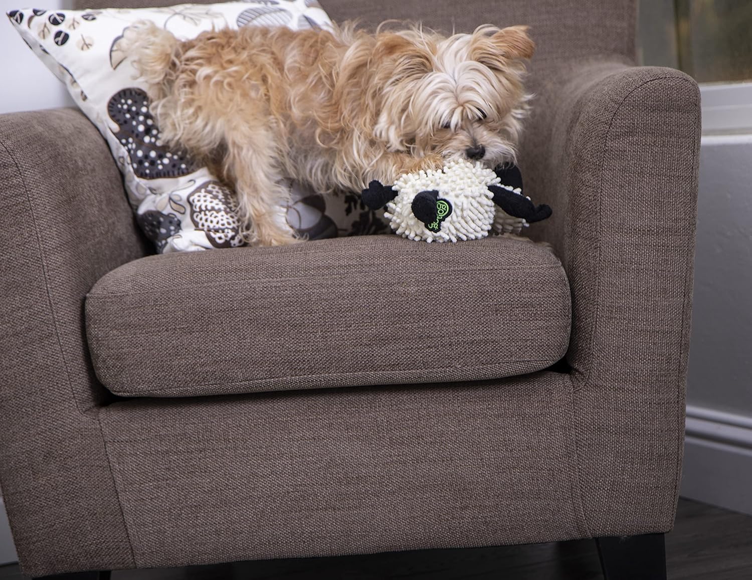 goDog Fuzzy Wuzzy Lamb - Juguete de peluche chirriante para perro,...