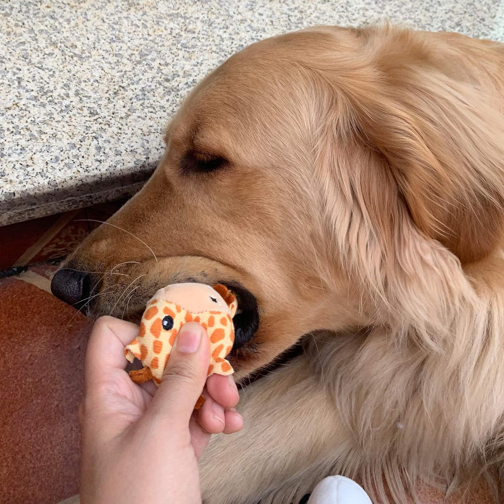 Jalousie Paquete de 12 juguetes de peluche para perros, juguetes ma...