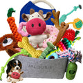 Jalousie - Paquete múltiple de juguetes chirriantes para perros, pa...