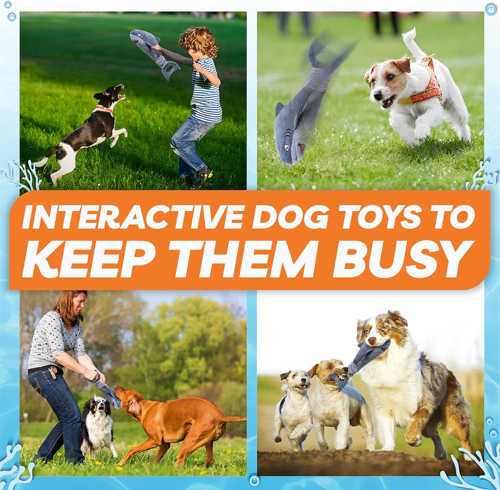 Juguetes para perros pequeños, juguetes resistentes y chirriantes p...