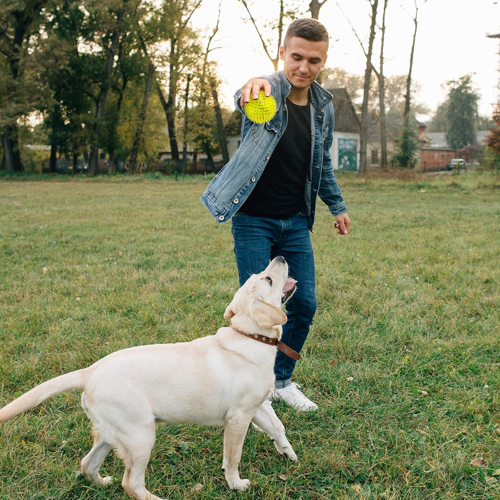 VITEVER Pelotas chirriantes de juguete para perros de 3.5 pulgadas...