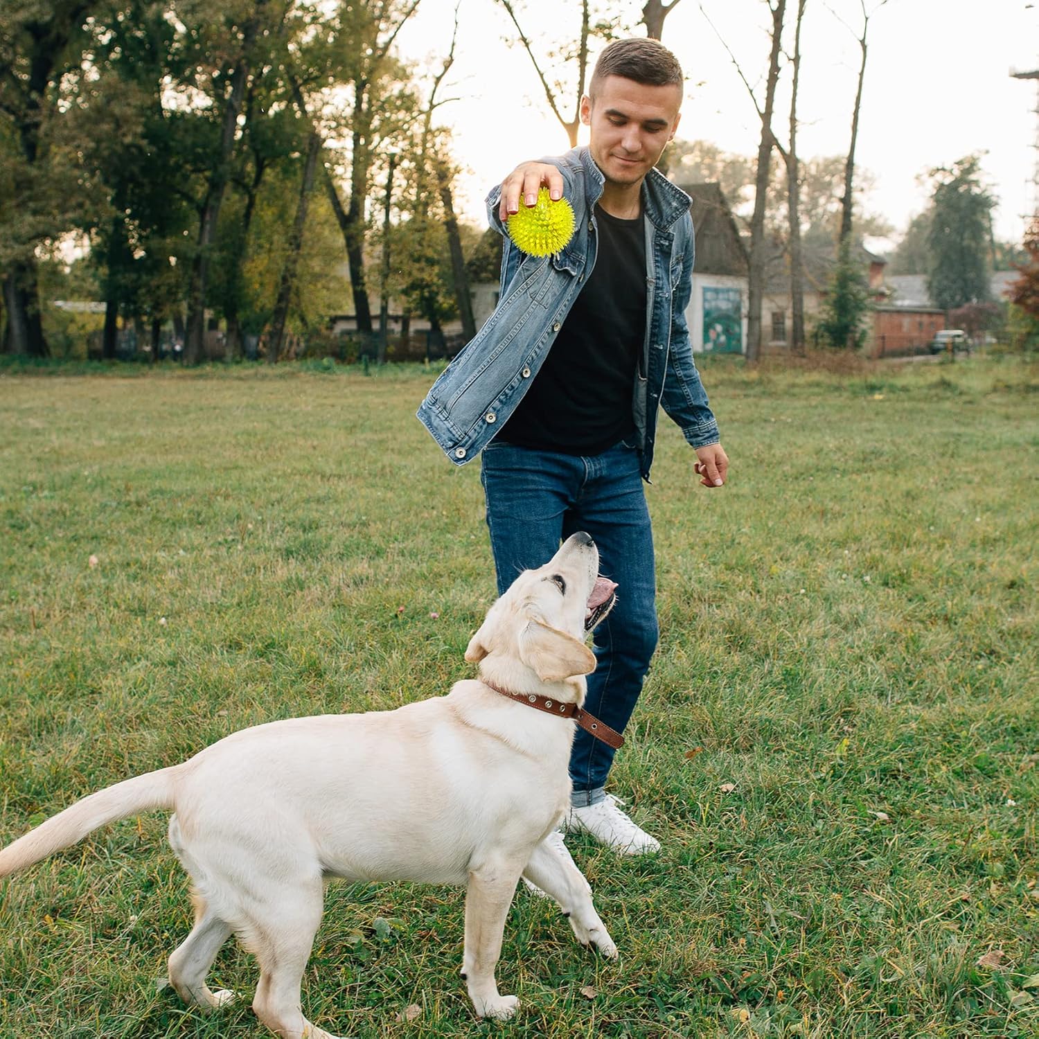 VITEVER Pelotas chirriantes de juguete para perros de 3.5 pulgadas...