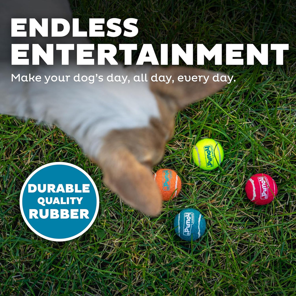 Outward Hound Squeaker Ballz - Pelotas de tenis chirriantes para pe...