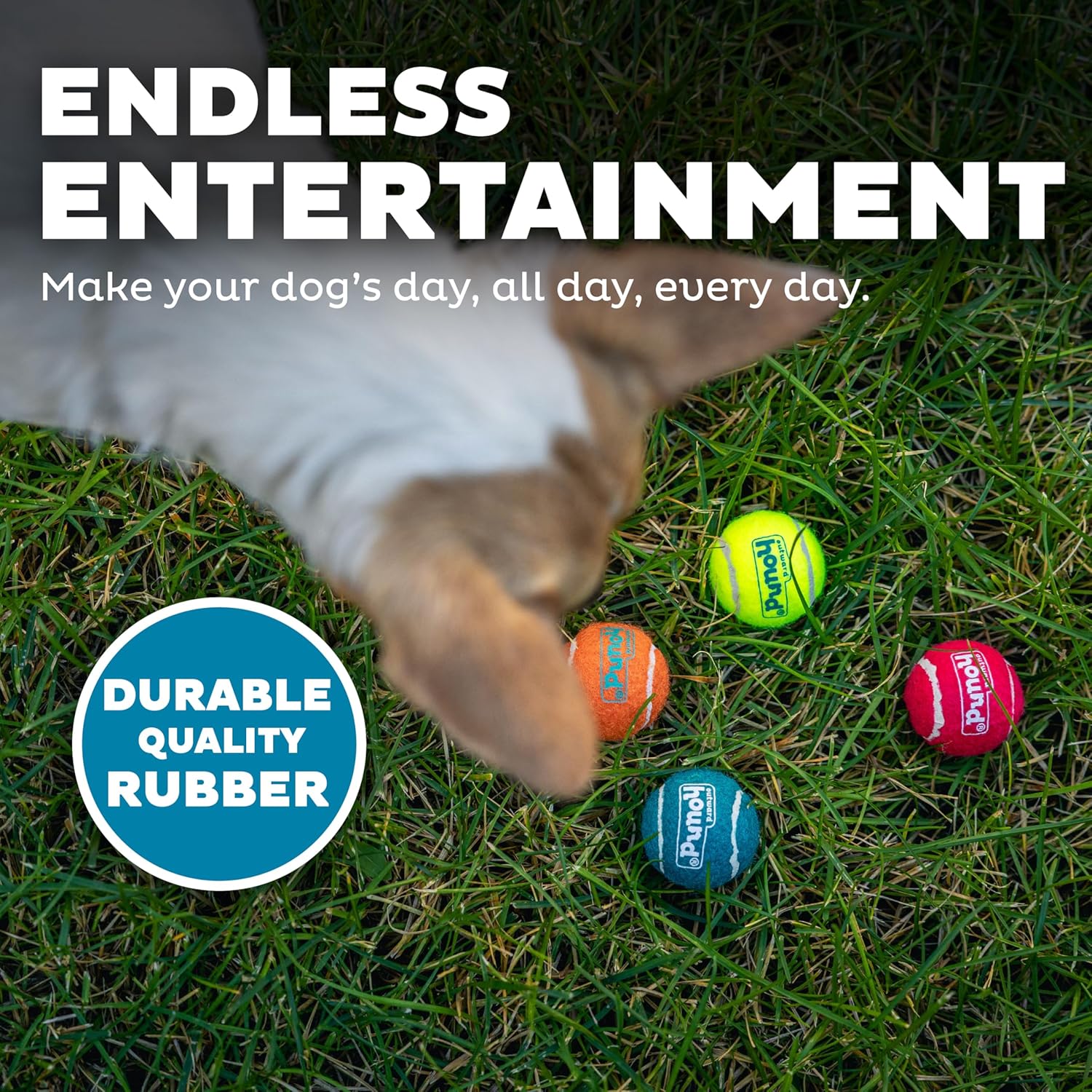 Outward Hound Squeaker Ballz - Pelotas de tenis chirriantes para pe...