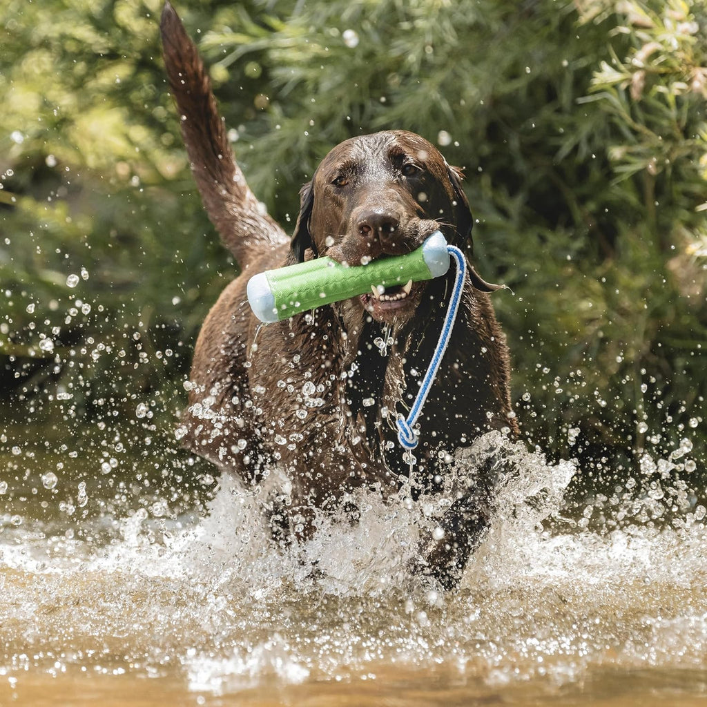 Chuckit! Parachoques Anfibio Flotante Juguete de Buscar para Perros...