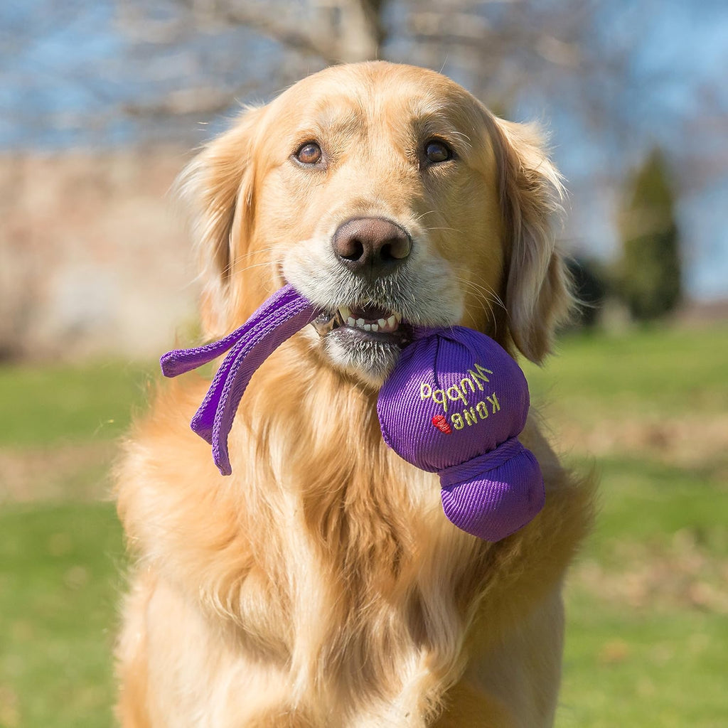 KONG Wubba - Juguete para perros para tirar y buscar - Suministros...