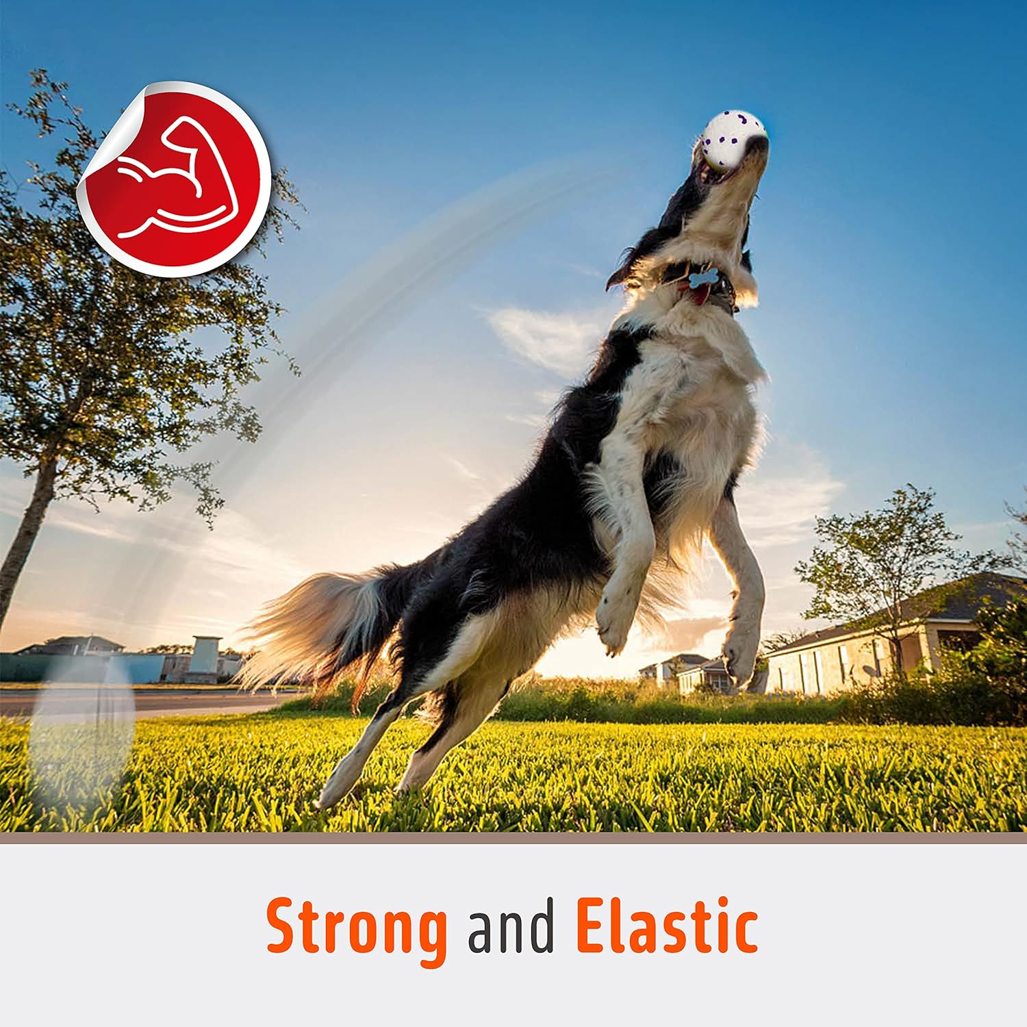 FOFOS Pelotas para perros, juguetes para masticar, pelota de tenis...