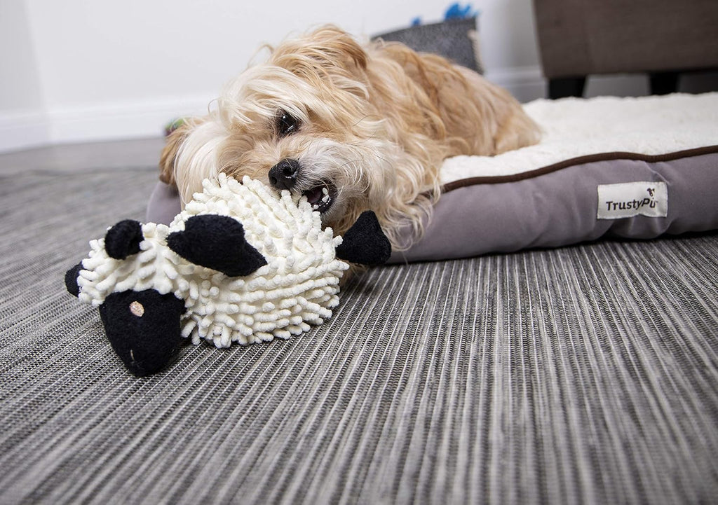 goDog Fuzzy Wuzzy Lamb - Juguete de peluche chirriante para perro,...