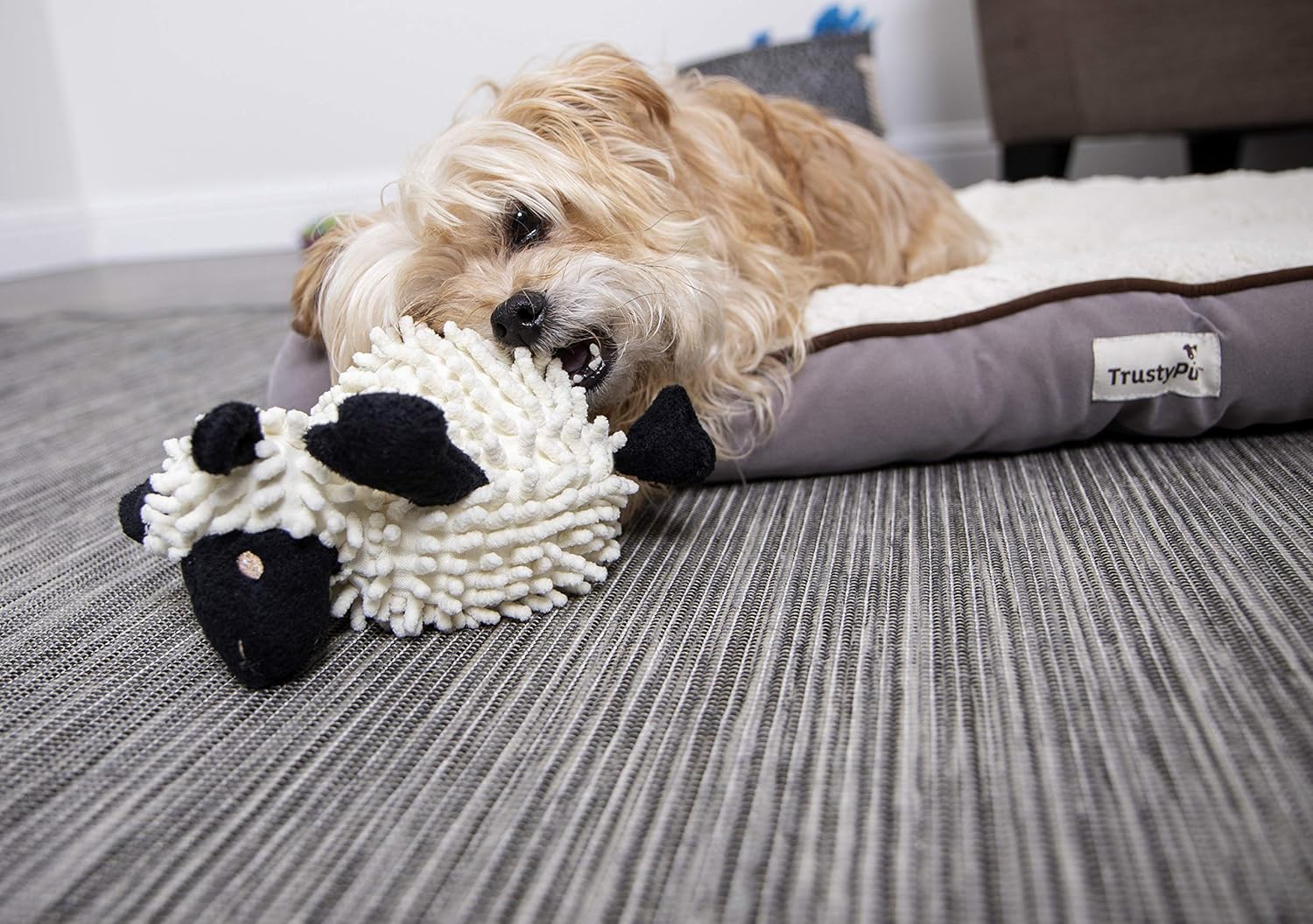goDog Fuzzy Wuzzy Lamb - Juguete de peluche chirriante para perro,...