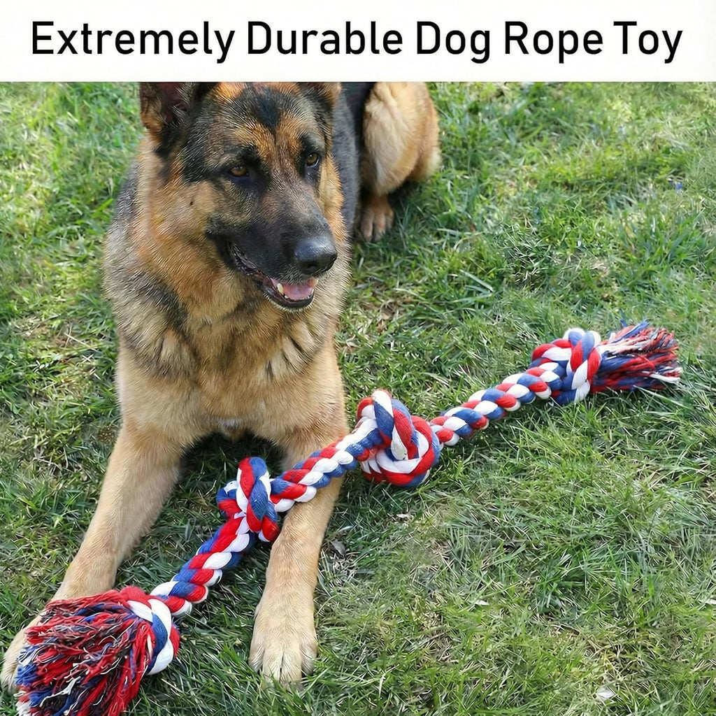 Paw-FECT Piece - Juguete de cuerda para perro de alta resistencia X...
