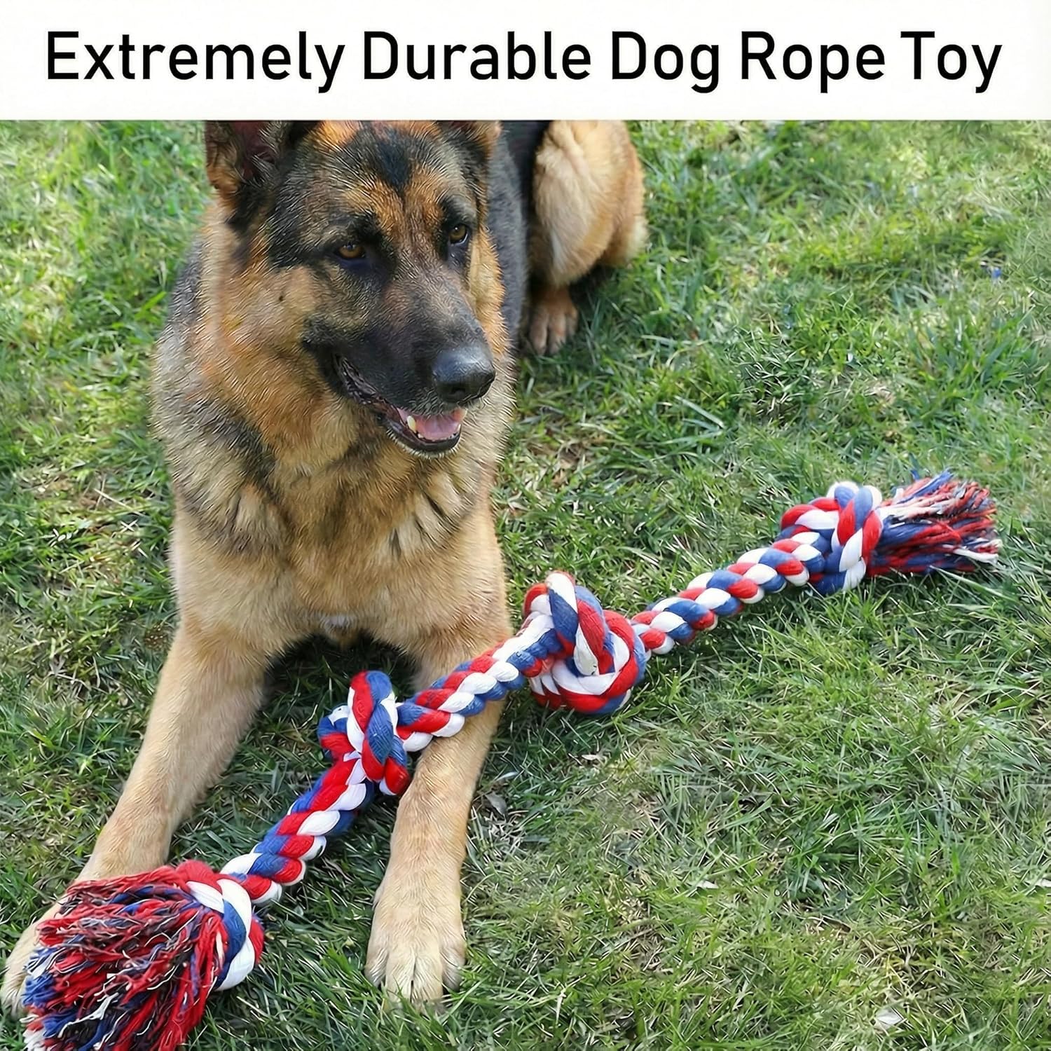 Paw-FECT Piece - Juguete de cuerda para perro de alta resistencia X...