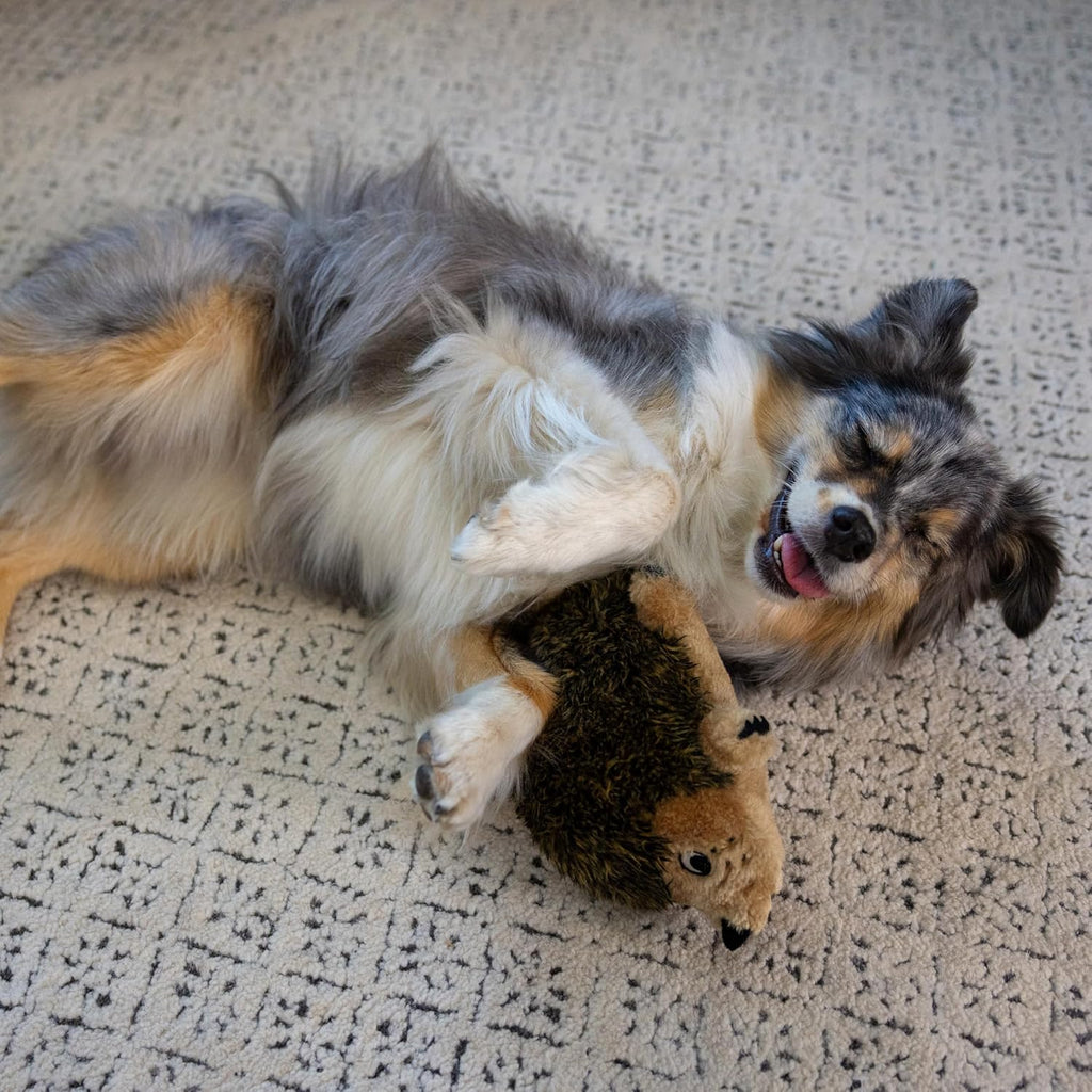 Outward Hound, juguete de peluche Hedgehogz para perro, tamaño mediano